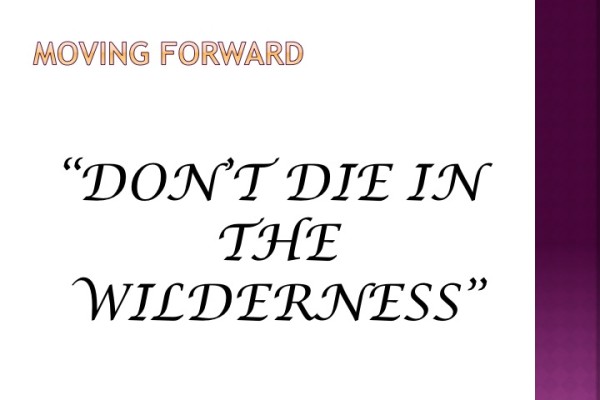 moving-forward-slide16